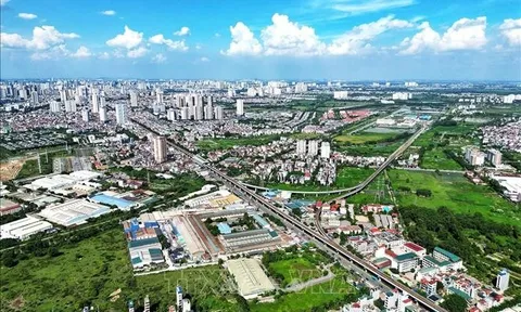 Đấu giá 27 thửa đất tại Hà Đông (Hà Nội): Giá trúng cao nhất đến 260 triệu đồng/m2