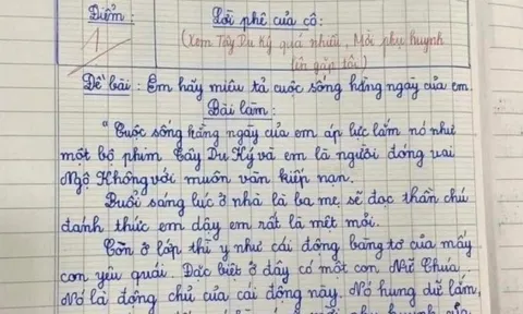 Bài văn 1 điểm của bé trai lớp 3 tả cuộc sống hàng ngày khiến cô giáo "đỏ mặt", lập tức mời phụ huynh đến trường