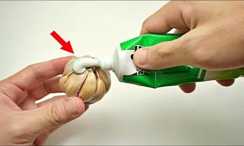 Trộn tỏi với kem đánh răng có tác dụng vượt trội, giải quyết ngay nhiều vấn đề trong gia đình