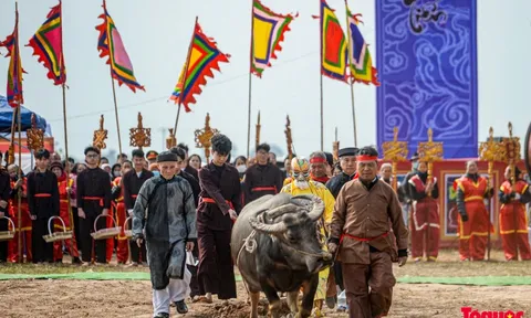 Không tổ chức lễ hội tràn lan gây tốn kém, lãng phí