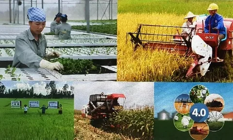Chỉ đạo điều hành của Chính phủ, Thủ tướng Chính phủ ngày 15/2/2025