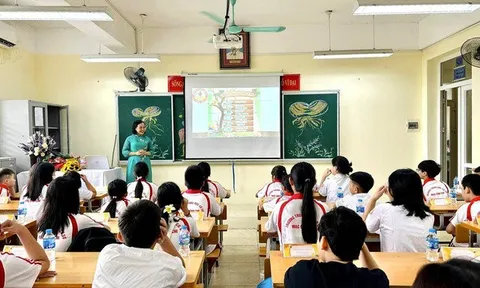 Dạy thêm: Pháp lý và đạo lý
