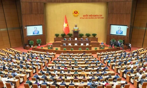 Thông qua 2 Nghị quyết về cơ cấu tổ chức của Chính phủ và cơ cấu số lượng thành viên Chính phủ