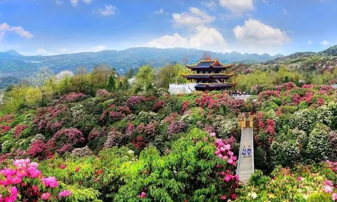 Thúc đẩy trao đổi khách du lịch 2 chiều Hà Nội - Quý Châu