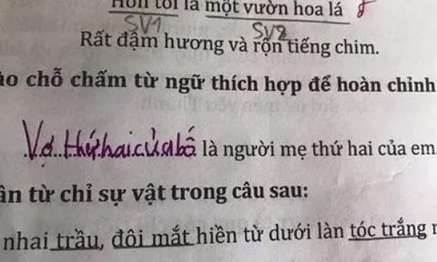 Bài tập điền vào chỗ trống: “... là người mẹ thứ hai của em”, học sinh có câu trả lời khiến bố mẹ điếng người