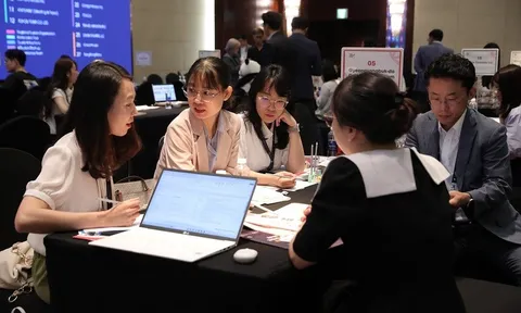 Bứt phá trao đổi du lịch hai chiều Việt Nam-Hàn Quốc