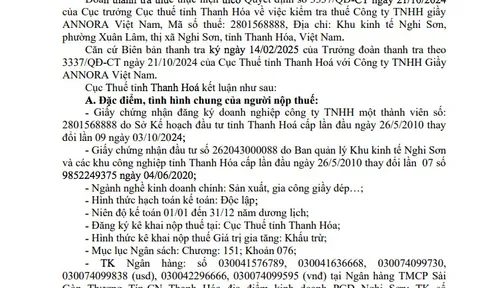 Giầy Annora Việt Nam bị phạt, truy thu hơn 4,4 tỷ tiền thuế