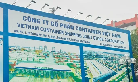 Chỉnh lại số liệu, Viconship bị giảm lợi nhuận hơn 127 tỷ đồng