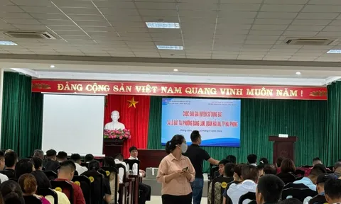 Hải Phòng: Trúng 7 lô đất giá cao, 'đại gia' bất động sản bỏ cọc