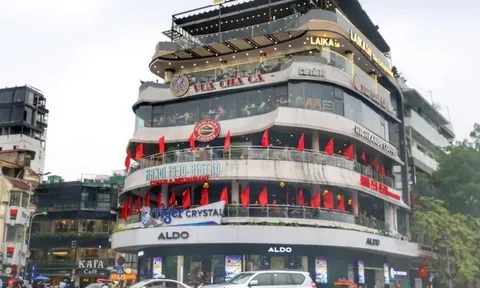 Doanh nghiệp nào đang vận hành tòa nhà "Hàm cá mập"?