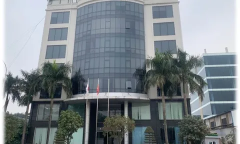 Dính vi phạm về thuế, Bánh kẹo Bảo Ngọc bị truy thu và xử phạt