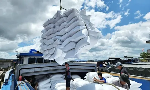 Gạo trong nước đắt hơn xuất khẩu: Tình huống bất thường, Thủ tướng yêu cầu kiểm tra