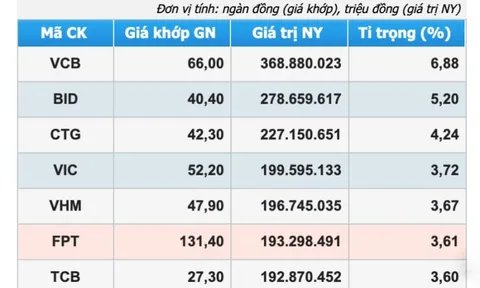 DN tư nhân lớn nhất sàn chứng khoán: FPT hụt hơi, ‘văng’ khỏi top 3?