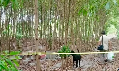 Danh tính thi thể nam giới tử vong trong tư thế treo cổ trong rừng tràm Bình Thuận