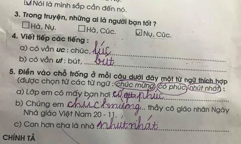 Cô giáo giao bài tập điền câu thành ngữ: "Con hơn cha là nhà...", đáp án ngắn gọn 2 từ của học sinh hiếm ai nghĩ ra