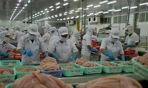 Xuất khẩu thủy sản sang Hoa Kỳ: Cơ hội và thách thức trong bối cảnh mới