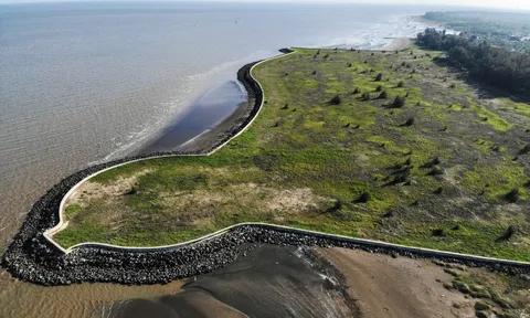 Cực hút Cần Giờ: Hơn 20 tỷ USD biến vùng biển bùn thành siêu đô thị