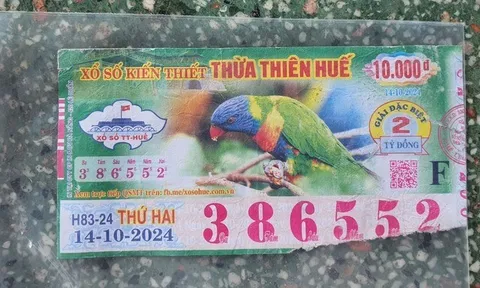 Giám đốc Công ty XSKT Huế bắt tay chúc mừng chủ nhân vé số rách thắng kiện