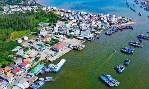 Đầu tư gần 11.000 tỷ đồng phát triển cảng biển Quảng Ngãi