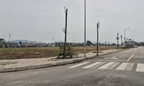 Đất Bắc Giang tăng giá nóng, Chủ tịch UBND tỉnh ra chỉ đạo khẩn