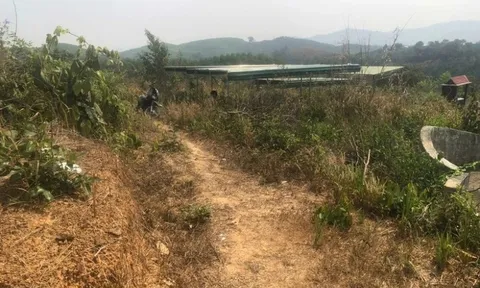 Phát hiện thi thể nam giới trong tư thế "lạ" ở nghĩa trang, hiện trường ám ảnh