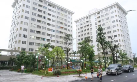 Bán rau ngoài chợ xác nhận thu nhập mua nhà ở xã hội thế nào?