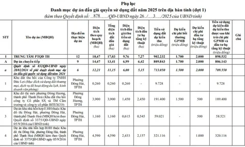 Thanh Hóa: Đấu giá 892 dự án đất, dự thu 17.255 tỷ đồng