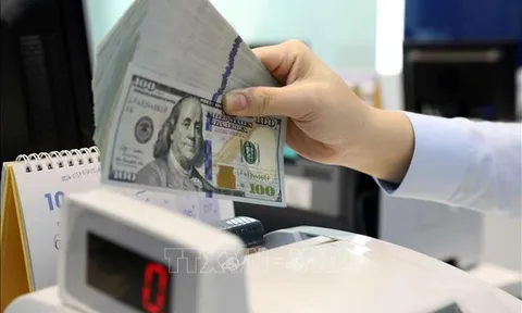 Tỷ giá hôm nay 31/3: Giá USD và NDT ít biến động