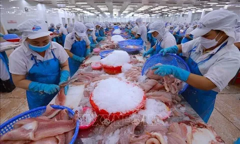 Xuất khẩu nông lâm thủy sản quý I tăng trên 13%