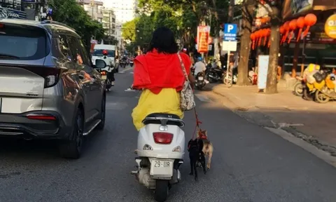 Người phụ nữ nghênh ngang đầu trần đi xe máy, dắt theo chó gây bức xúc
