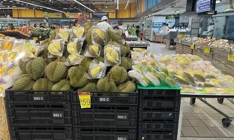 Thái Lan gặp khó khăn khi xuất khẩu sầu riêng