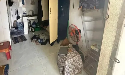 Bị lừa đảo nhưng lại báo gia đình bị mất trộm để được cho tiền trả nợ