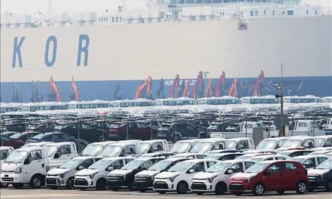 Thuế quan của Mỹ: Hàn Quốc chuẩn bị các phương án dự phòng