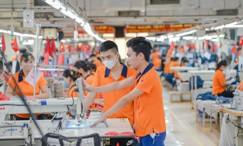 Tăng cường quản lý nguyên liệu đầu vào, ngăn chặn gian lận xuất xứ