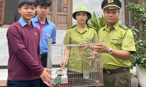 Trên đường đi học, nam sinh lớp 9 phát hiện con vật quý hiếm trong sách Đỏ