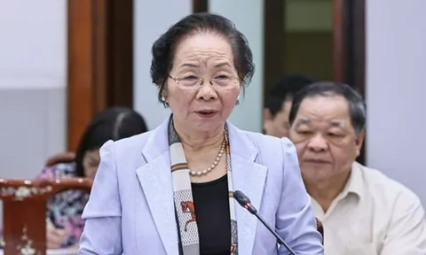 Nguyên Phó Chủ tịch nước Nguyễn Thị Doan nêu câu hỏi trách nhiệm thuộc về ai ở vụ gần 600 loại sữa giả