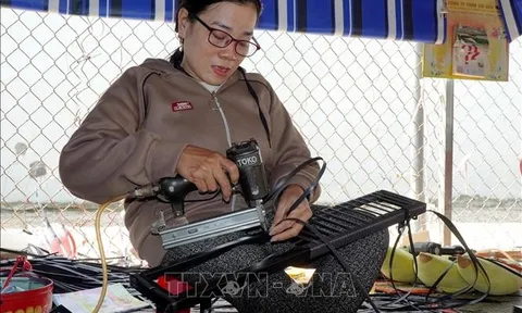 Đóa hướng dương rạng ngời tỏa sắc