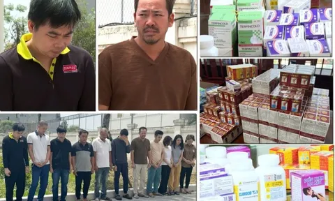 Phó Thủ tướng Chính phủ chỉ đạo về việc xử lý vụ sản xuất, buôn bán thuốc giả