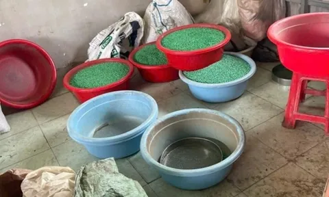 Phát hiện lượng lớn thuốc giảm đau trong đường dây sản xuất 21 loại thuốc giả