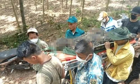 Nguyên nhân ban đầu khiến người đàn ông tử vong trong rừng ở Quảng Bình: Nghi đột quỵ