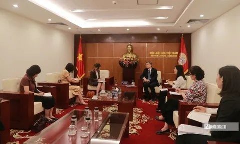 Nâng cao năng lực của hội viên Hội Luật gia trong thúc đẩy bảo vệ quyền trẻ em