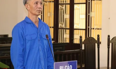 Ném cháu 2 tuổi xuống ao, ông ngoại bị tuyên án 10 năm tù