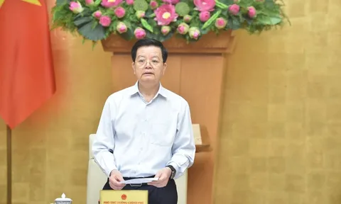 Hoàn thiện và sớm trình dự thảo Nghị định quy định Cơ sở dữ liệu về phòng, chống bạo lực gia đình