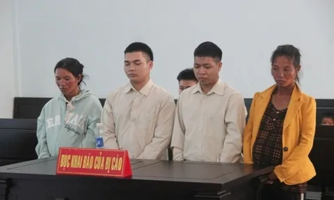 Xét xử vụ hai anh em làm chết người ở Gia Lai: Lý do khiến cả hai người vợ vướng vòng lao lý?