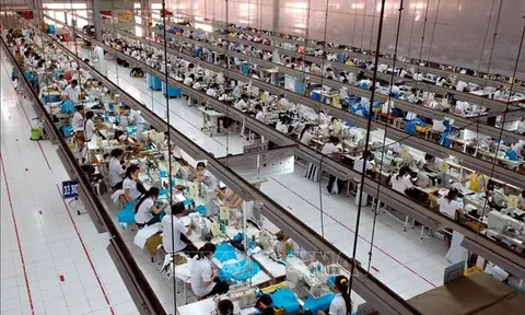 50 năm Thống nhất đất nước: Việt Nam đang vươn mình trong tất cả mọi lĩnh vực