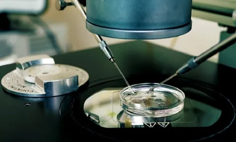 Danh tính người chồng "bịa đặt" chuyện vợ ngoại tình để không cấp dưỡng cho con