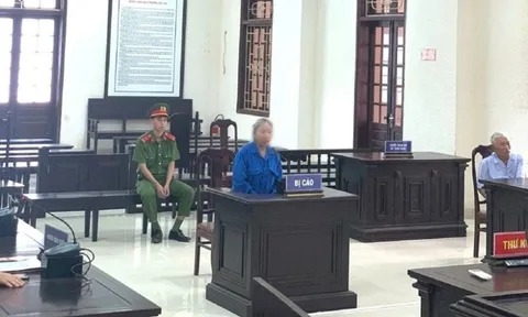 Hé lộ nguồn cơn vụ đầu độc mẹ kế ở Quảng Trị