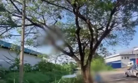 Phát hiện thi thể con trai trên cây me, người bố đau đớn ngã quỵ: Nguyên nhân cái chết khiến ai cũng tiếc nuối