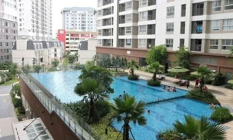 Vì sao cựu trưởng, phó ban Quản trị chung cư Golden Mansion bị bắt?