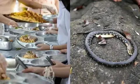 Ấn Độ: Phát hiện rắn chết trong nồi thức ăn ở trường học, hàng loạt trẻ nhập viện